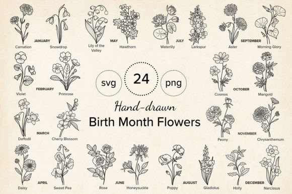 Download 24 Hand-drawn Birth Month Flowers Bundle - Month flowers Collection