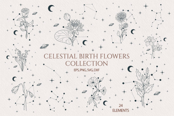 Download Hand Drawn Celestial Birth Month Flowers - Month flowers Collection