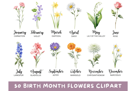 Download 50 Watercolor Birth Month Flowers PNG - Month flowers Collection