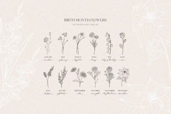 Download Birth Month Flowers, Botanicals - Month flowers Collection