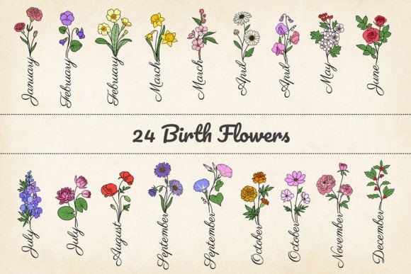 Download 24 Minimalist Birth Month Flowers, SVG - Month flowers Collection