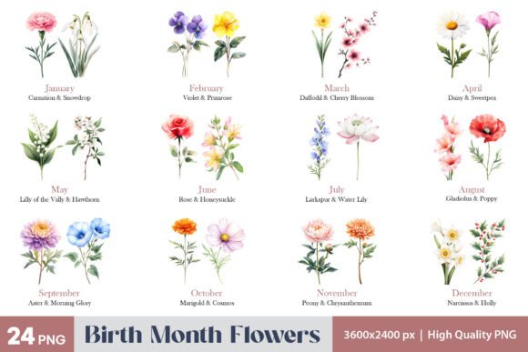 Download Birth Month Flowers PNG Clipart - Month flowers Collection